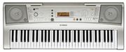 Yamaha PSR-R300